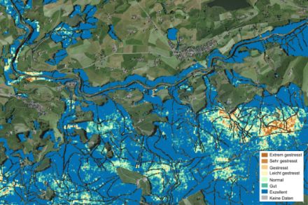 Carte satellite de la forêt au nord de Raten (ZG)