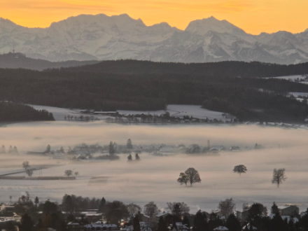 Figure 2. Région de Grenchen lundi 25 novembre à l’aube. On sent que l’atmosphère est bien froide avec des sols enneigés (9 cm mesurés) et des bancs de brouillard. A ce moment-là, la température est de -5 °C. Photo : Observations Météo / App MétéoSuisse 