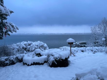 Photo d'un jardin enneigé à Versoix le matin du 10 janvier 2024.