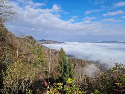 Image prise près d'Adliswil ZH, sur les rives du lac de Zurich. Une nappe de brouillard occupe encore ce matin le secteur de Zurich. Toutefois, les bancs de nuages qui circulent au-dessus trahissent une faible circulation dépressionnaire en  altitude permettant une dissipation du brouillard plus facile.