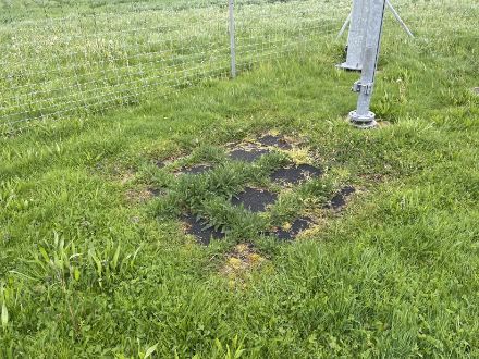 Figure 8. La surface de mesure sur le site d'Aadorf/Tänikon avant son remplacement par le nouveau système OneSnow