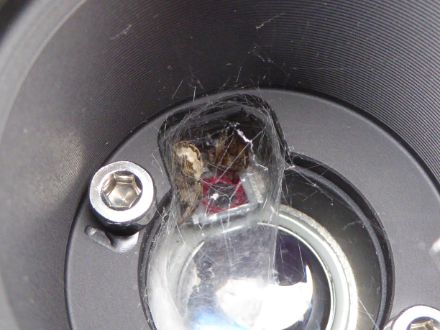 Figure 6. Une araignée interfère avec la mesure de la neige par le capteur laser