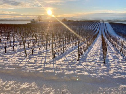Abords enneigés du lac de Neuchâtel, à Cortaillod, ce vendredi matin.