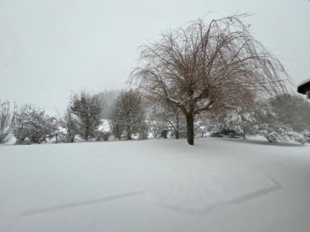 Chutes de neige à Corminboeuf le 21 novembre 2024.