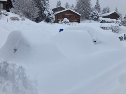 Photo de voitures recouvertes de neige à Leysin.