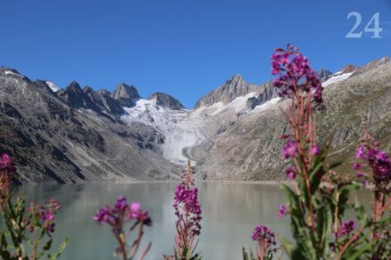 Vue sur le glacier de l’Oberaar (BE), très peu enneigé le 9 septembre 2024. Dans le fond à droite, l’Oberaarhorn, culminant à 3631 m. (D. Gerstgrasser)