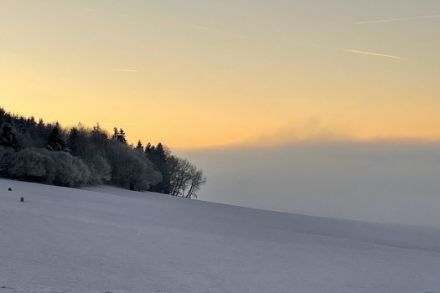 Photo de la limite du brouillard dans la région de Vuisternens-en-Ogoz (FR) le vendredi 27 décembre 2024.