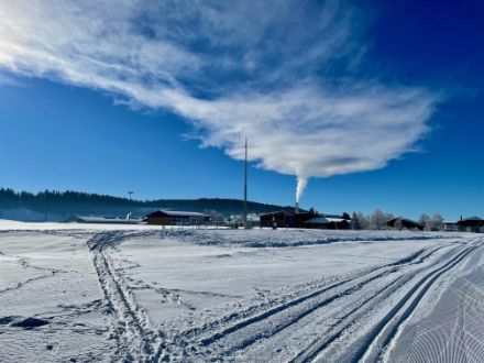 Photo de fumée qui s’étale au niveau de l’inversion à La Brévine le 30 décembre 2024.
