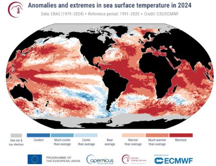 Carte mondiale de la répartition de la température de surface de la mer.
