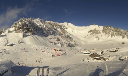 Image webcam du col de Bretaye dans la région de Villars-sur-Ollon (VD) le 29 janvier 2025.