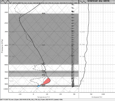 Profil vertical de température (modèle ICON)  le 22.01.2025 à 6h00, de l'air chaud surplombe une couche d'air encore très froide près du sol.