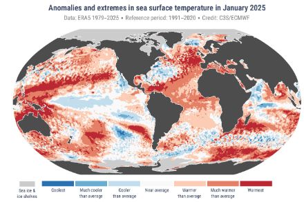 Carte mondiale de la température de surface de la mer en janvier 2025.