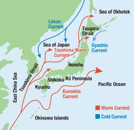 Fig 5 : la présence du courant marin chaud de surface sur la Mer du Japon en provenance du sud nommé le courant Tsushima permet d'accentuer la différence de température entre l'eau et la masse d'air de basses couches lors d'intrusions d'air sibérien au-dessus du plan d'eau. Cela permet d'amplifier les bandes de chutes de neige des "sea-effect snows".