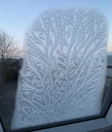Fleurs de glace sur un velux à Henggart (ZH)