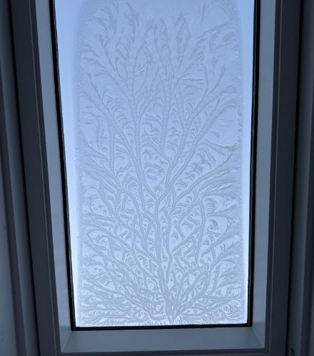 Des fleurs de glace, comme dessinées, Truttikon (ZH)