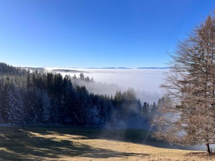 Echapper à la grisaille en prenant de la hauteur sur les pentes du Gibloux, le 3 février 2025.