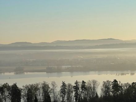 Figure 3. Vue sur le Greifensee le matin du 6 mars 2025. On distingue clairement plusieurs couches minces de brume ou de brouillard. La couche la plus haute, visible sur la colline en arrière-plan, indique la limite supérieure du lac d'air froid. La couche un peu plus marquée, légèrement brumeuse et plus basse, indique la limite supérieure du « lac d'air froid dans le lac d'air froid ».