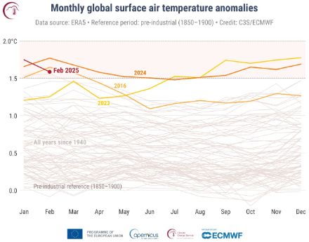 Figure 2. Anomalies mensuelles de la température de l'air (en °C) à la surface du globe par rapport à la période 1991-2020, de janvier 1940 à février 2025, représentées sous forme de séries chronologiques pour chaque année. L'année 2025 est représentée par une ligne rouge foncé, l'année 2024 par une ligne orange foncé, l'année 2023 par une ligne jaune et l'année 2016 par une ligne orange clair. Toutes les autres années sont représentées par des lignes grises fines. Source des données : ERA5. Crédit : C3S/ECMWF.