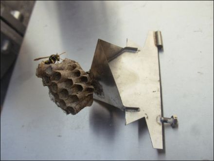 Fig.2: bascule de mesure démontée de l'instrument, et son locataire momentané.