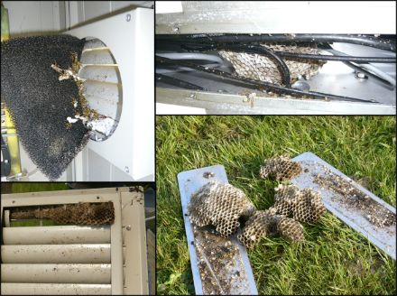 Fig.3: nids de guêpes trouvés sur diverses installations