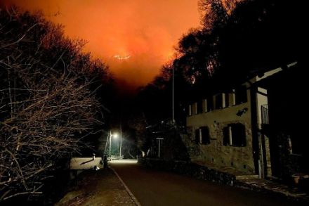 Incendie de forêt dans le Gambarogno (TI), février 2022