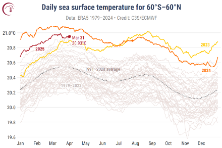 Figure 3. Température journalière moyenne de la surface de la mer entre 60° S et 60° N pour 2023 (en jaune), pour 2024 (en orange) et pour 2025 (en rouge foncé). Toutes les autres années entre 1979 et 2022 sont représentées en gris, la norme 1991-2020 avec la ligne grise en pointillés. 