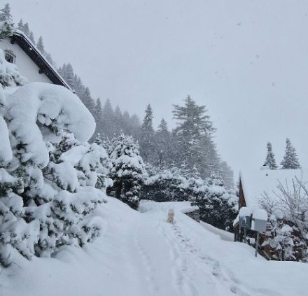 Photo de neige à Leysin le 17 avril 2024.