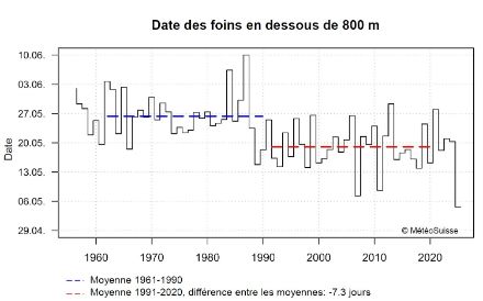 Représentation chronologique de la date de la récolte des foins.