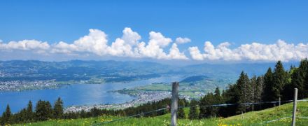 Cumulus dont le développement vertical semble bloqué en altitude, observés hier samedi depuis les hauteurs au sud du lac de Zurich.