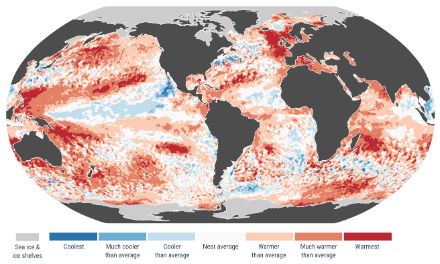 Anomalies et extrêmes de la température de surface de la mer pour avril 2025. Les catégories de couleurs (plus chaud que / plus froid que) se réfèrent à la période de référence 1991-2020. Les catégories extrêmes (« le plus froid » et « le plus chaud ») se réfèrent à la période 1979-2024. Les valeurs ne sont calculées que pour les océans libres de glace. Les zones recouvertes de banquise en avril 2025 sont représentées en gris clair.
