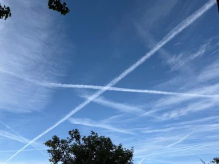 Fig. 4 : Cirrus ce matin dans le ciel au-dessus de Villars-Burquin. (Source : Observation météo, App MétéoSuisse)