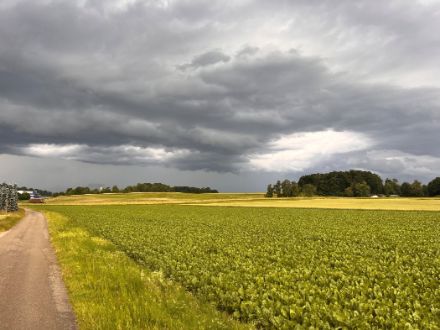 Orage à Zürich
