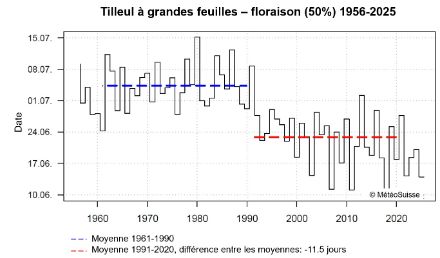 Evolution de la date moyenne de floraison du tilleul à grandes feuilles