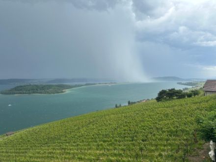 Photo de forte averse sur l'ìle St-Pierre