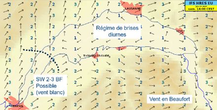 Vent 10 m - modèle ICON - force en Beaufort