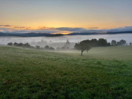 Brouillard au lever du jour près de la frontière nord du pays (Schopfheim, Allemagne du sud)