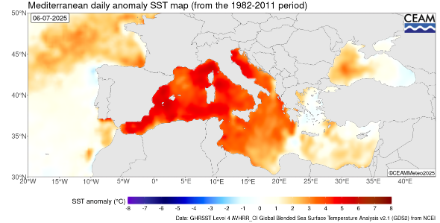 Figure 2. Anomalie de la température de surface de la mer mesurée par satellite le 6 juillet 2025 par rapport à la période de référence 1982-2011. 