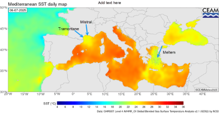 Figure 3. Température de la surface de la mer mesurée par satellite le 6 juillet 2025. 