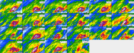 Modèle ICON-CH2-EPS du 26.08.2025 à 00UTC, cumuls de pluie sur 24h par les différents membres de l'ensemble. Sources : MétéoSuisse