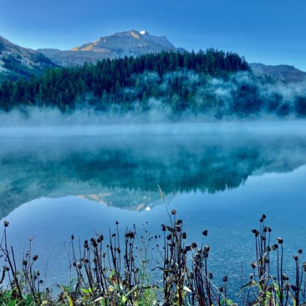 Brouillard d’évaporation sur le lac de Silvaplana ce matin (Photo : Observations météo, App MeteoSwiss).