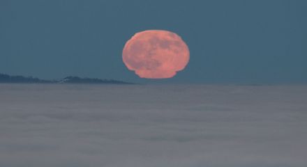 Lever de lune le 19 décembre 2021 lors d'une situation d'inversion marquée. Vue depuis l'Albis-Hochwacht vers le nord-est.