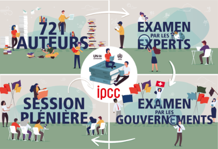 Processus de publication du rapport du GIEC. Illustration : MétéoSuisse, Agence mehrwert