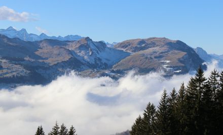 Vue de la région d'Ibergeregg à la région de Stoos avec le Fronalpstock. Au fond, à gauche, l'Uri Rotstock.