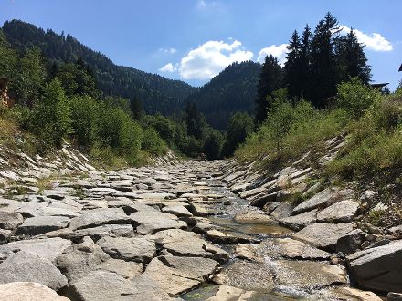 Sur la photo, on peut voir le lit asséché du Grossbach en été 2018.
