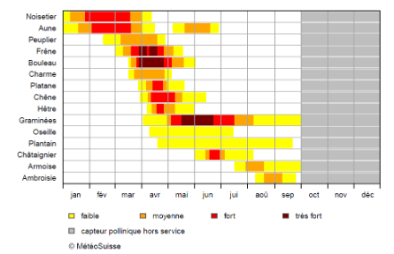  	Tableau présentant les principales espèces végétales qui diffusent du pollen allergène. Des barres de couleur indiquent les mois où les concentrations de pollen sont les plus importantes.  	