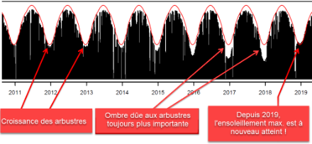 Impact de la croissance des buissons sur la mesure de la durée d'ensoleillement quotidienne à Stabio entre 2011 et 2019.
