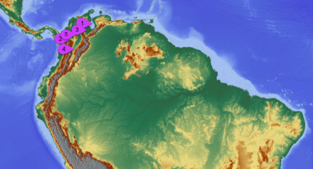 Régions d’Amérique du Sud les plus touchées par la foudre.