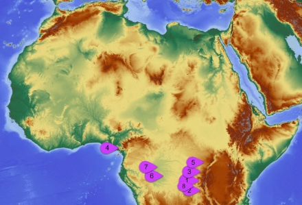 Régions d’Afrique les plus touchées par la foudre.