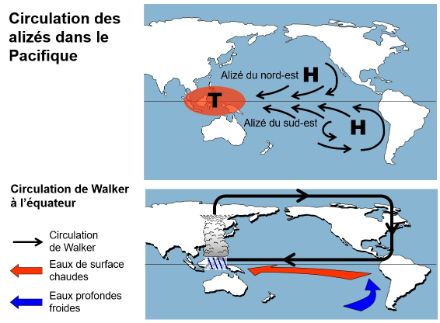 Carte de la région du Pacifique avec les éléments de la circulation des alizés.