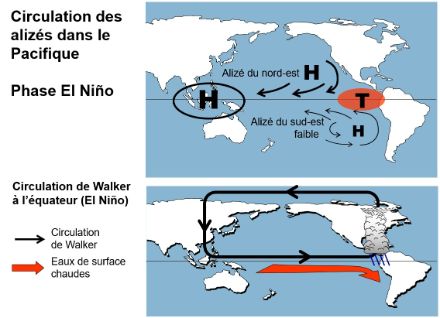 Carte de la région du Pacifique avec les éléments de la circulation El Niño.